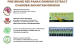 CHINESE GINSENG